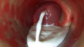 Sex Gay Porn 3